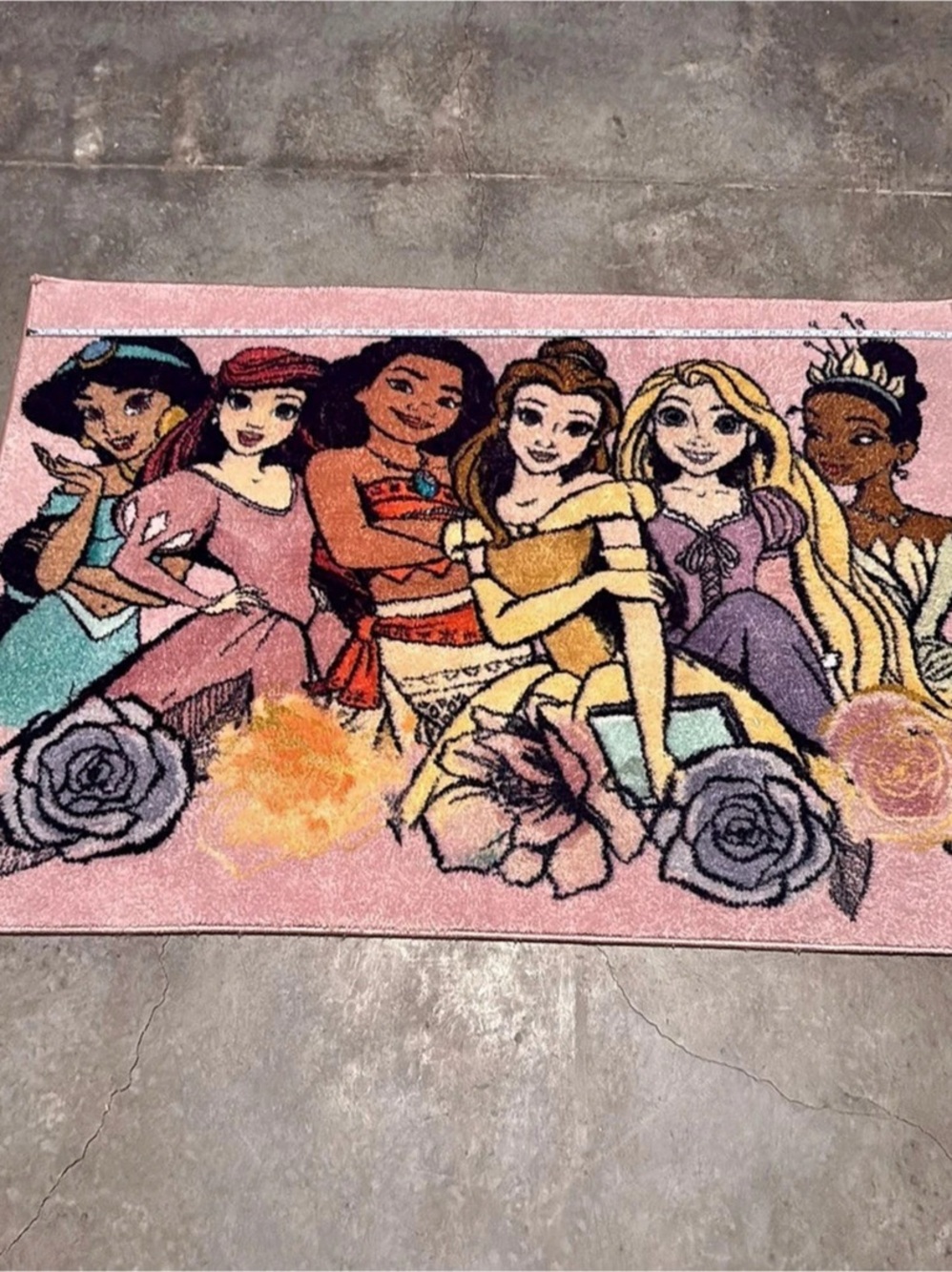 Disney Pink & Black Princess Decorative Rug 54” x 39”